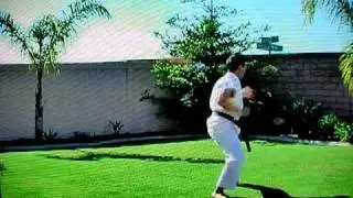 SEIDOKAN KATA KUSANKU By Grand-Master Allen Williams Tackett