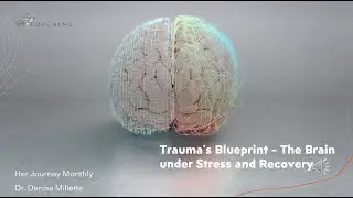 Trauma's Blueprint The Brain under Stress and Recovery
