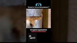 #Эковата точно бесшовная  #утепление #строительство #сруб 1