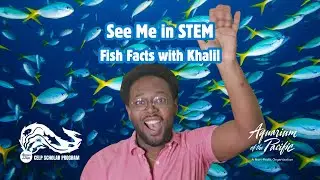 See Me in STEM: Fish Facts with Khalil