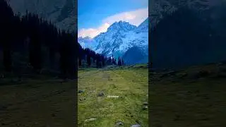 Kashmir diaries ❤️