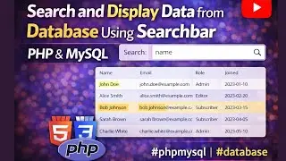 Search  and Display Data from Database Using Search Bar | PHP  & MySQL #phpmysql #database