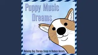 Puppy Music Dreams