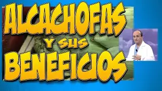 ALCACHOFAS y sus beneficios para la salud