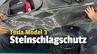 Tesla Steinschlagschutz Folie und Scheiben tönen
