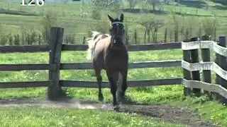 MISS MAGDALENE
