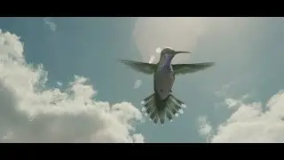 Via Verde, anda consigo.