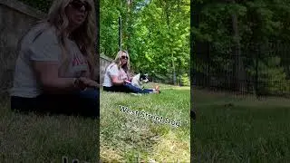 Dog-Friendly Adventures in Raleigh, Cary & Beyond!