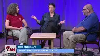 Cape Media News Conversations : Ticks and Mosquitos