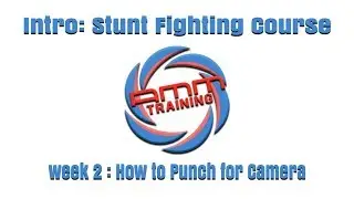 INTRO WEEK 2 | ONLINE STUNT FIGHTING COURSE | HOW TO PUNCH FOR CAMERA