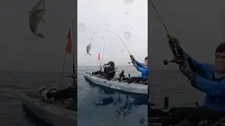 Fish on! Catching fish this way #fishing #kayakfishing #kayaking #adventure
