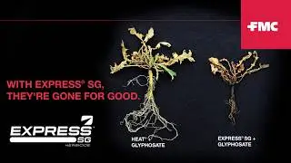 Fire up your pre-seed burnoff with Express&reg; SG herbicide