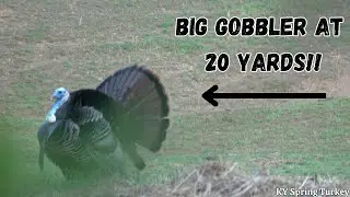BIG GOBBLER at 20 yards!! Kentucky spring turkey hunting!