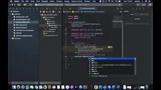 How to use webkit in Swift