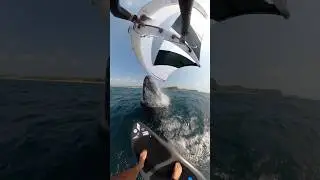 This is INSANE! Full raw story out now, playlist on @_aclassic_  - going toe to toe with a whale!