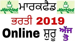 PUNJAB MARKFED RECRUITMENT 2019 | 106 JE, STENO, SR. ASSISTANT & OTHERS notification out!!