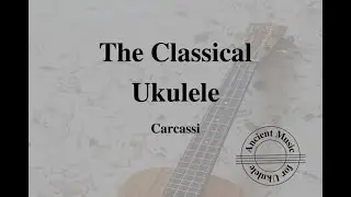 Allegretto in D (Matteo Carcassi)