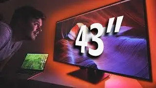 43