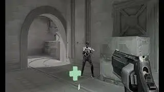 clips 5