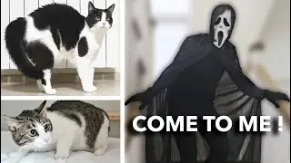A Black And White Man Broke Into Our House!!