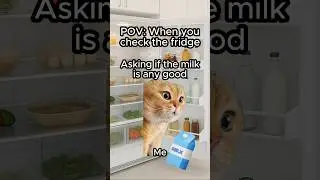 CAT MEMES 🐱 WHEN YOU CHECK THE FRIDGE #relatable #cat #funny #fridge #shorts