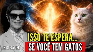 Chico Xavier Revela: Poucos Sabem o Destino Espiritual de Quem Tem Gatos
