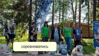 NoseWork лагерь CleverDog, Ленобласть