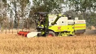 Vishal 435 paddy Cultivation In Hightension light☠️😱#vishal#harvester#viralvideo#dailyvlog#youtube