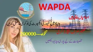 WAPDA ANNOUNCE NEW JOBS SECURITY EXPERT | LATEST JOBS IN WAPDA | APPLY NOW | LATEST JOBS 2025