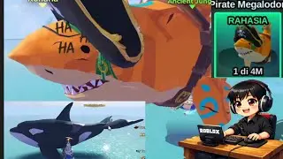 Getting the Secret Fish on Pirate Cove Island Without Robux