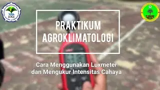 PRAKTIKUM AGROKLIMATOLOGI | Cara Menggunakan Luxmeter & Mengukur Intensitas Cahaya