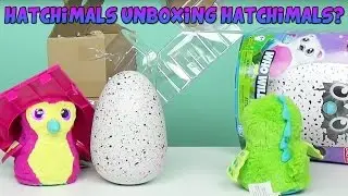 Hatchimals Unboxing Hatchimals? | Target Exclusive What's Inside