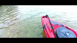 Looking for Lost Crab Pots in Shallows of Bamboo Island Short