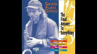 David Alan Gross - The Final Answer To Everything - mja Records
