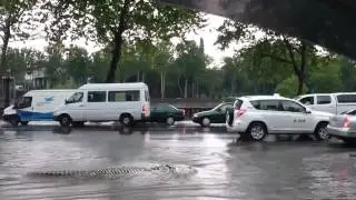 Крокодил на улицах Тбилиси 14.06.2015
