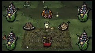 Don't Starve Together Planting Giant Corn.