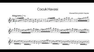 Cocuk Havasi الشريف محيي الدين