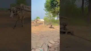 Chaff Cutting Gear Toka Machine Operating On with Oxygen #shortvideo #shortsviral #gear_trend