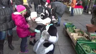 fursuit suitwalk Ulm Teeko (Rougfox) & Swip