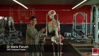 Échographie des nerfs du membre supérieur : le nerf musculo-cutané