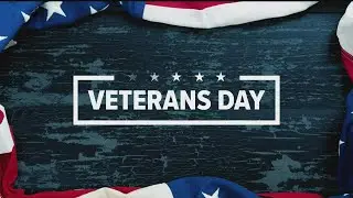 Veterans Day events in Minnesota
