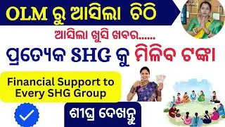SHG ପାଇଁ ବଡ ଖବର /ପୁଣି ମିଳିବ ଟଙ୍କା /Financial Assistance to SHG Group #shg #shggroup #dsambition