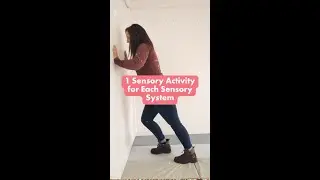 1 Activity for Each Sensory System