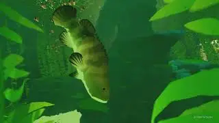 Abzu first look of wilderness