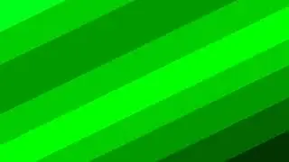 First Pup Live Stream