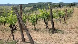 Florence-Rome-Tuscany. Italy stock footage in HD! No copyright.