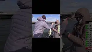Period 1 was non stop action on opening day! #mlf #fishing #bassfishing #tournamentfishing