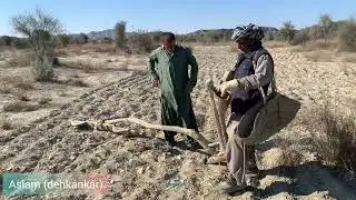 Dehk&aacute;nk&aacute;r | balochistanvlogs2020 #farmer #dehk&aacute;nk&aacute;r #learnbalochi #baloch #farmers #villagelife