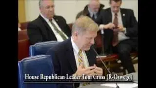 Leader Tom Cross - Diabetes Awareness License Plates
