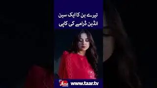 Tere Bin&rsquo;s Recent  Scene Is Copy of Indian Drama Scene